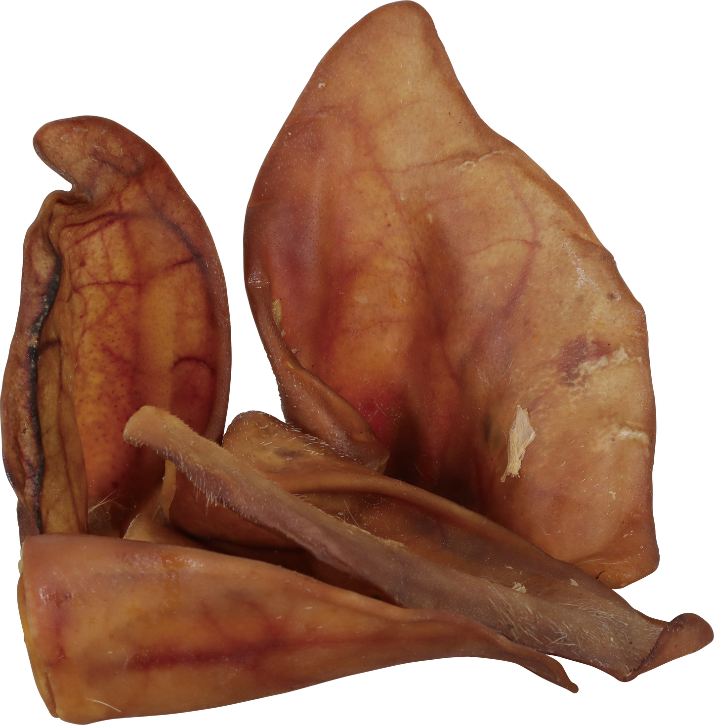 Oreilles de porc X1 ZOLUX