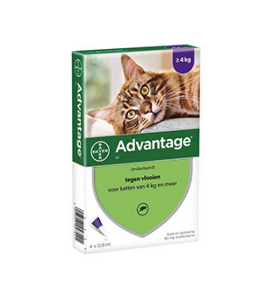 Advantage - Pipettes antiparasitaires chat/lapin